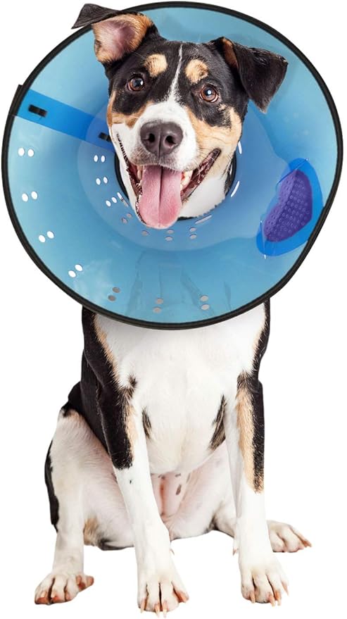 calm paws calming gel patch