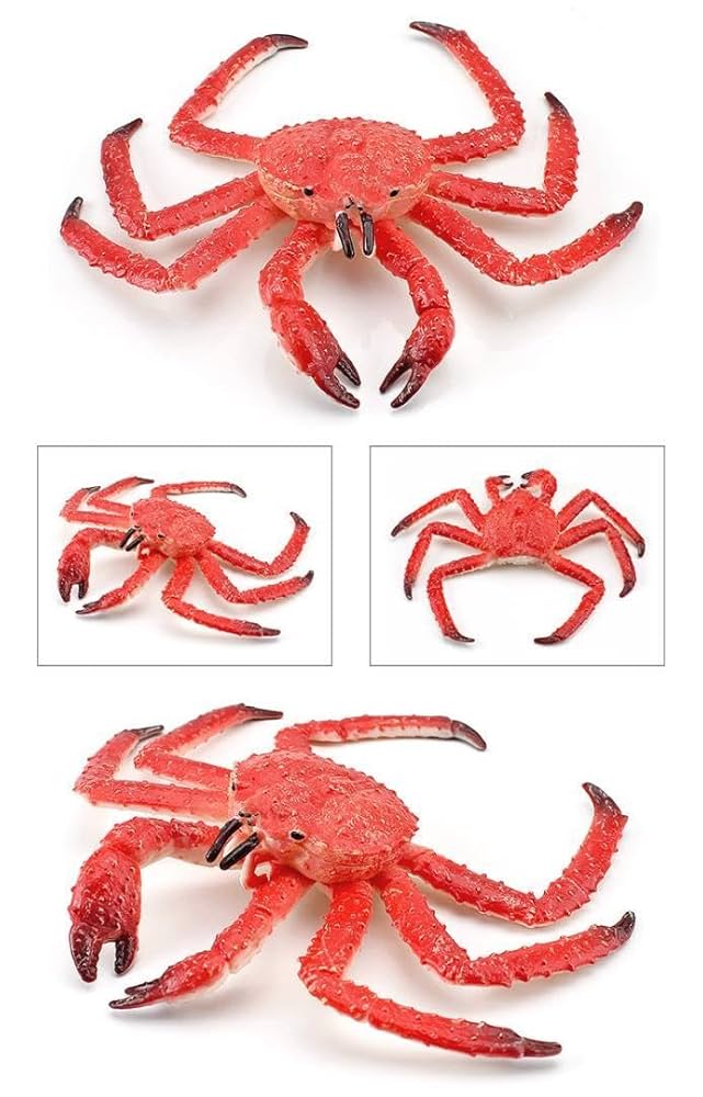 Amazon.co.jp: [猫神山] タラバガニ & タカアシガニ 2体セット海