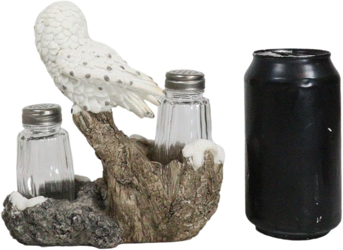 Ebros Gift Baby Owlet Snow White Owl Perching On Snowy Tree Branch Glass Salt And Pepper Shakers Holder Display Figurine Set 6.5" Tall Wildlife Forest Spirit Nocturnal Birds Home Decor Accent