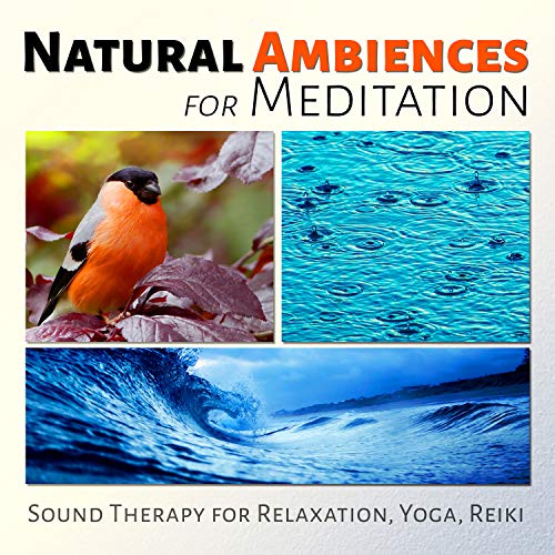 Natural Ambiences for Meditation Sound Therapy for