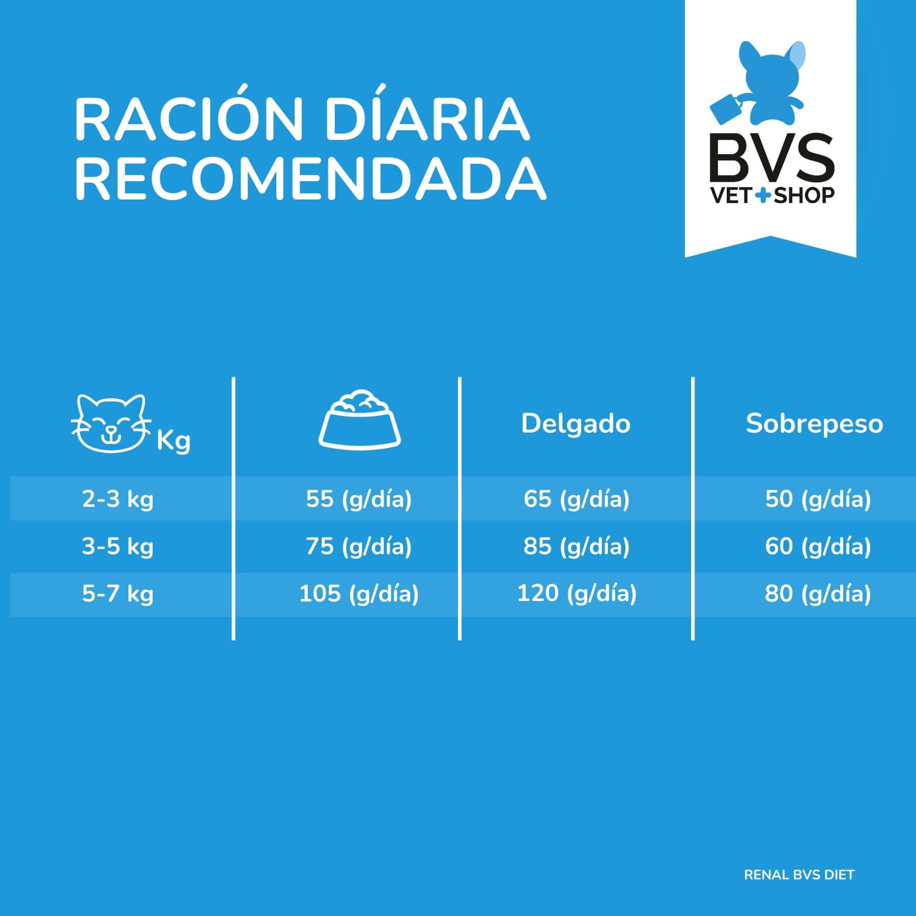 BVS Vet Shop | Diet Gato Renal Grain Free | para Gatos Adultos, sin Cereales destinado a favorecer la función renal | 8 kg