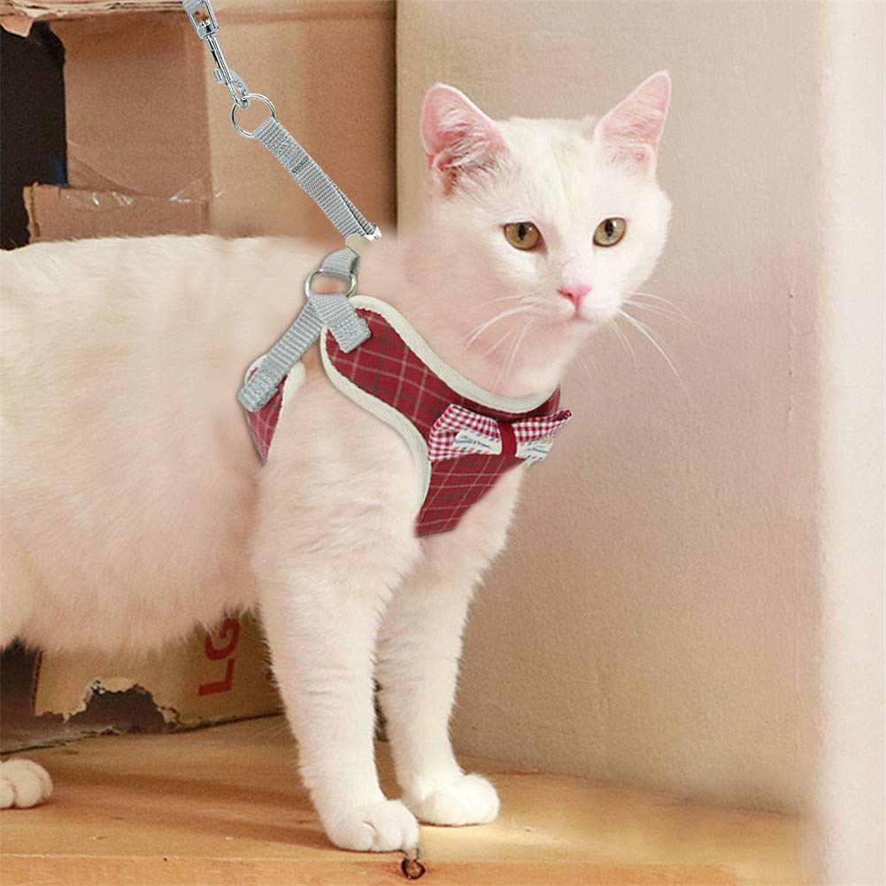 SOCHII Lindo juego de arnés y correa para gatos, malla de nailon, arnés para cachorros, collar de gato, chaleco para gatos pequeños, perros, gatitos, suministros para mascotas, 1 M