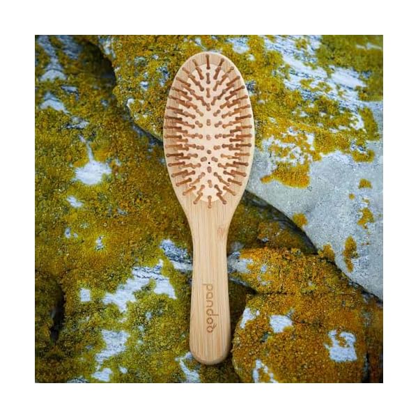 pandoo Bambus Haarbürste mit Naturborsten - Vegan, umweltfreundlich - Natur-Bürste mit Bambusborsten für natürlich schöne Haare für Männer, Frauen & Kinder - Detangler – Bild 6