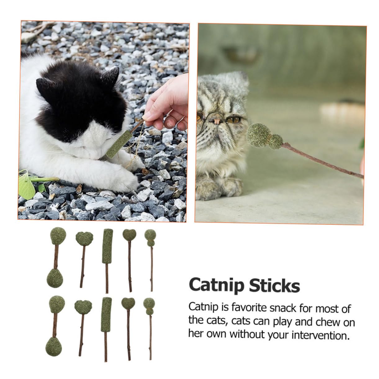 minkissy 10 Stück Katzenminzebälle aus Natürlicher Katzenminze Essbares Katzenspielzeug zur Einsamkeitslinderung Interaktiv den Indoor Einsatz Zufälliger Stil