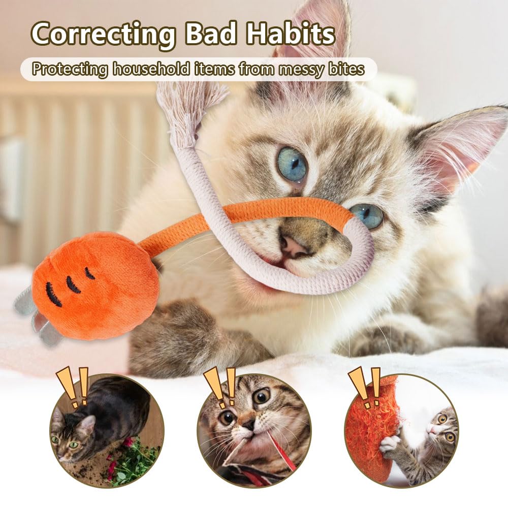 Bâtons Mâcher Chat,Bâtons Catnip Jouet,Jouets à Mâcher Pour Chat Pour Les Soins Dentaires Des Chats Nettoyer Et Prevenir La Mauvaise Haleinelot De 3 81638551