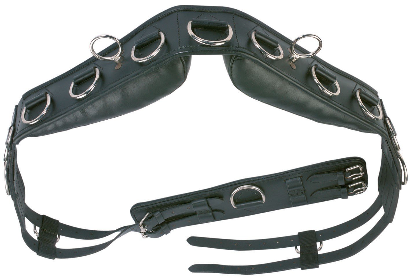 Professioneller Leder Longiergurt
