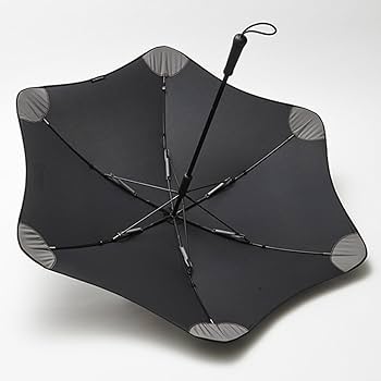 Amazon | STI アンブレラ CLASSIC 品番STSG16100900 | ギフト