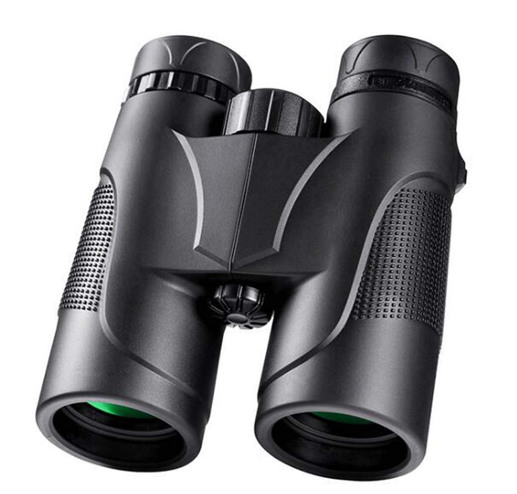 Jumelles 10x42 de qualité supérieure avec optique pure FMC multicouche