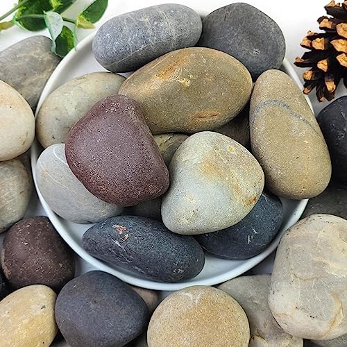 Calofulston 30LB River Rocks for Plants, 11.75 inch