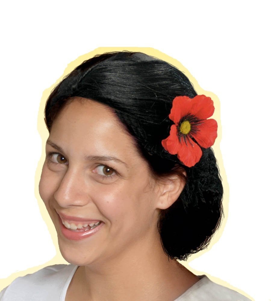 Amazon.com: Cinco De Mayo Fiesta Party Women's Black Spanish Wig Accessories,  Faux Hair, : Clothing, Shoes & Jewelry