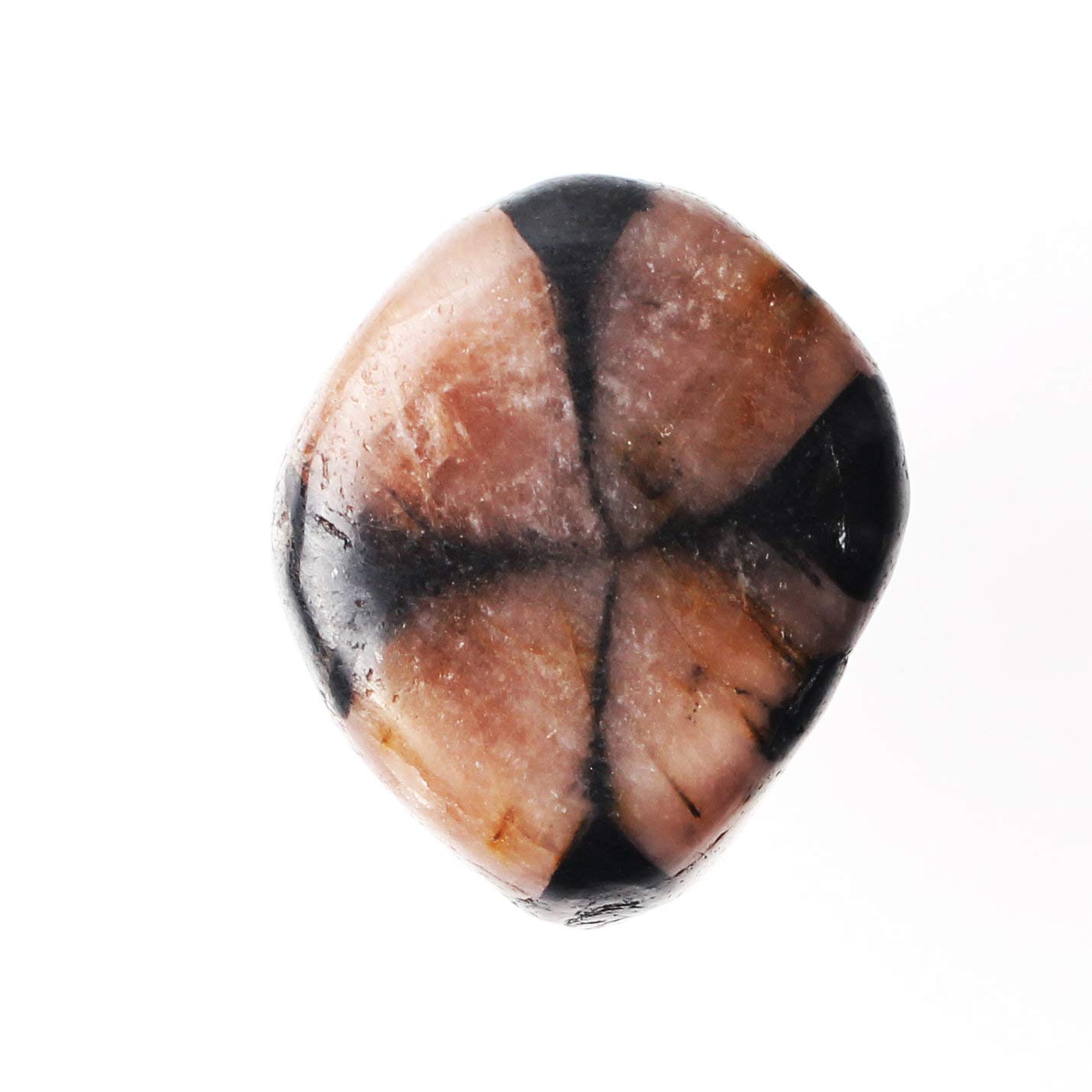 NUJA 1pc Natural Chiastolite Pietra Pietra Pietra Pietra Andalusite Crystal Pendente a Mano Palm Palm Regalo di guarigione