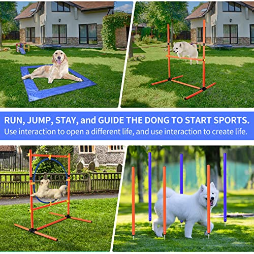 Arcwares Dog Agility Training Equipment, Dog Obstacle Course Backyard with Dog Agility Tunnel, Adjustable Hurdles, Jump Ring, Weave Poles, Flying Plate and Screaming Chicken