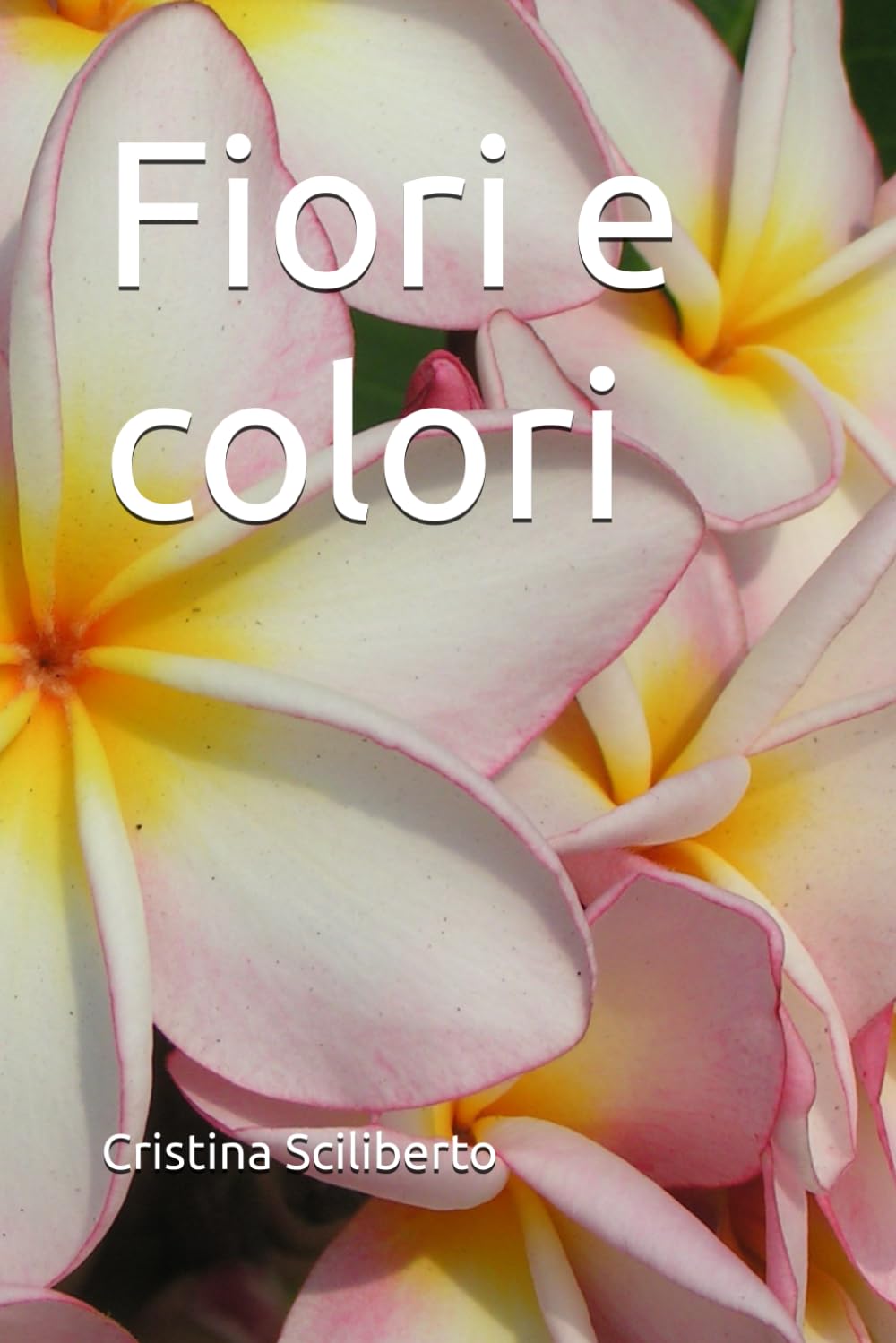 Fiori e colori