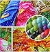 Huayi Wang DIY 5D Diamond Painting Full Drill Hummingbird Garden Embroidery Cross Stitch Craft Canvas Wall Decor 12X16 inches