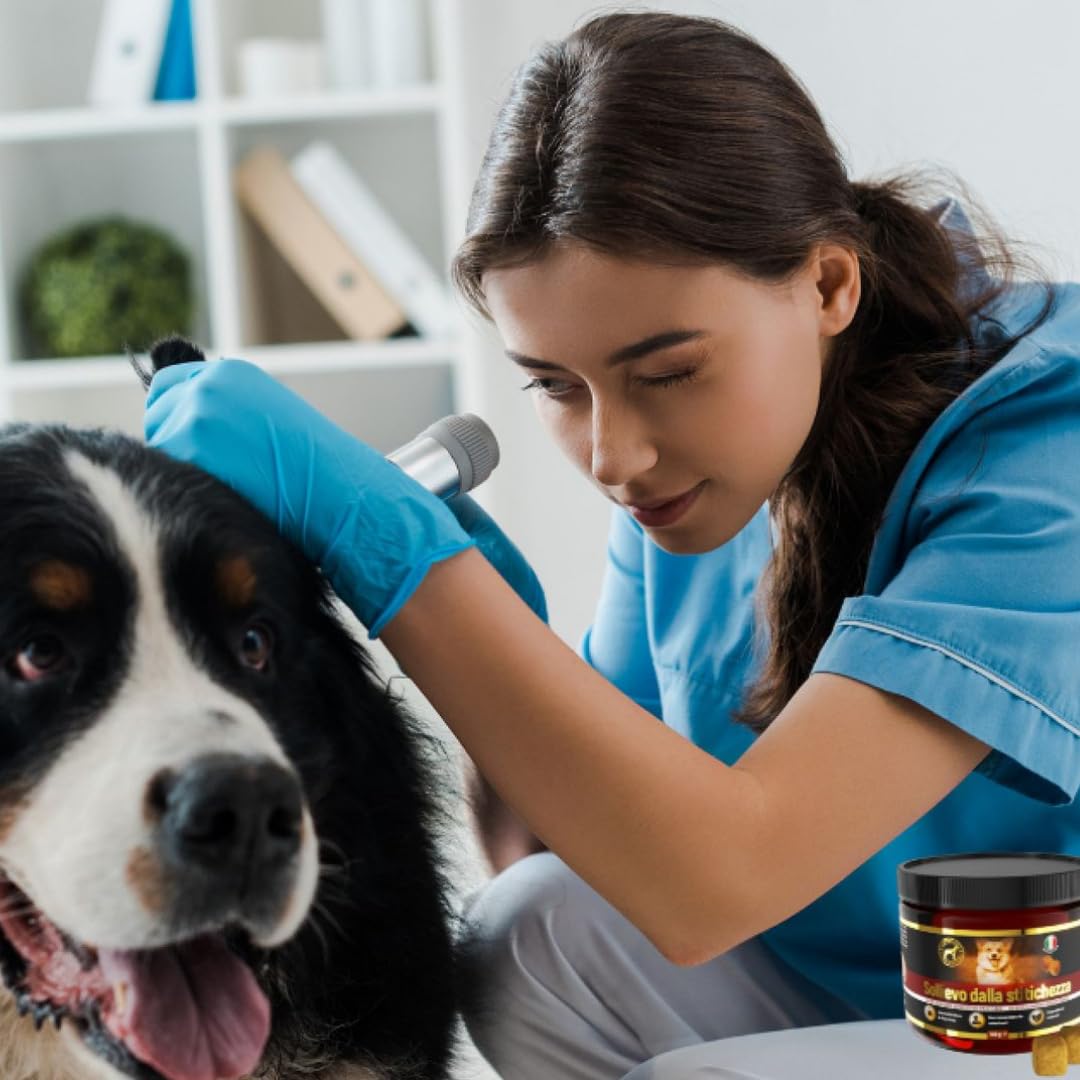 Sollievo contro Stitichezza Cane - 60 bocconcini masticabili lassativi per la stitichezza per i cani