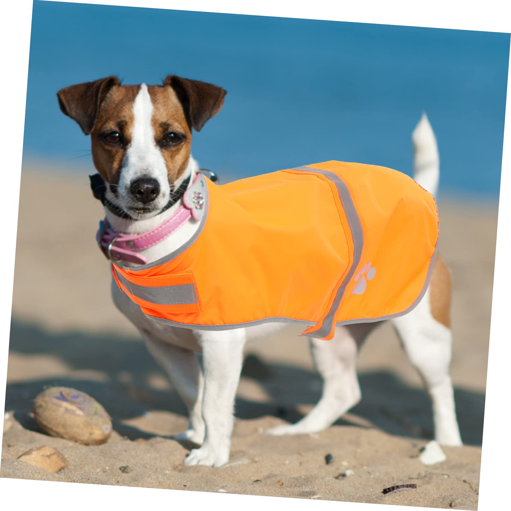 INOOMP 5St Hund reflektierende Weste Welpenweste Haustier-Hundekleidung Reflektorweste hundewarnwesten Hunde Warnweste Haustierweste Outdoor-Haustierkleidung Oxford-Stoff Orange