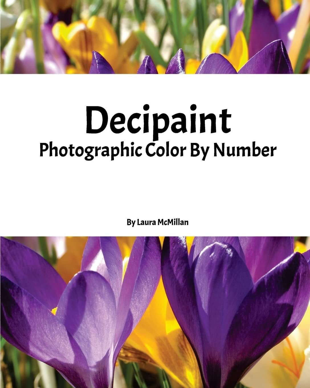 Decipaint: Photographic Color By Number Paperback โ November 17, 2016