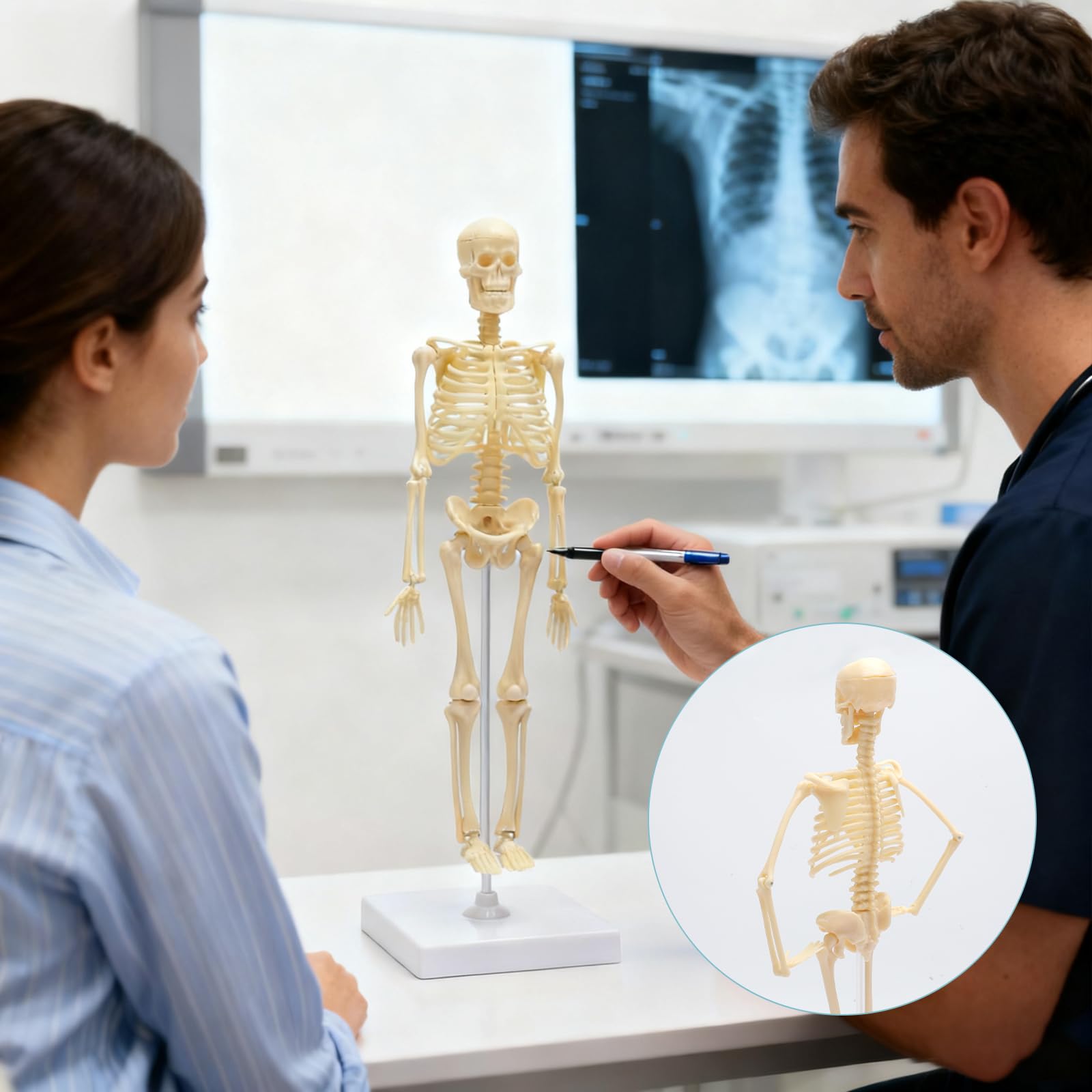 Wysoko ludzki szkielet do anatomii, model ludzkiego ciała, całe ciało z ruchomymi ramionami, struktury kości nóg, całe żebra kręgosłupa modelu szkieletowego są zintegrowane