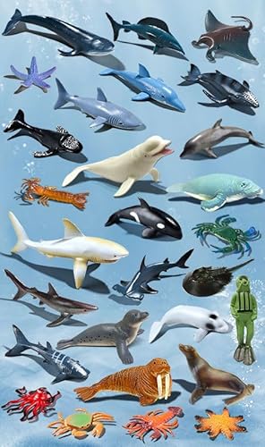 Raineed 28PCS CmtBMA C̐Zbg ރtBMA ~jf Cm   C̐ TD lCߋ av[g NX}X VN q j̎q ̎q D v[g 3Έȏ