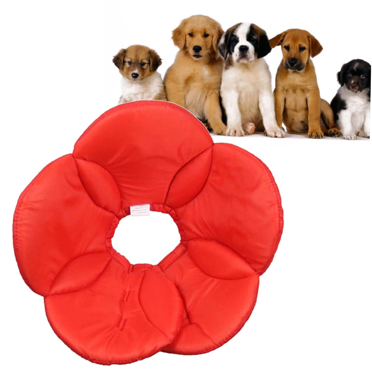 INOOMP 3 Pz collare per animali in poliestere accessori cane accessori per cane collari per animali domestici collare a cono per cani morbido collare antimorso per cani cover protettiva