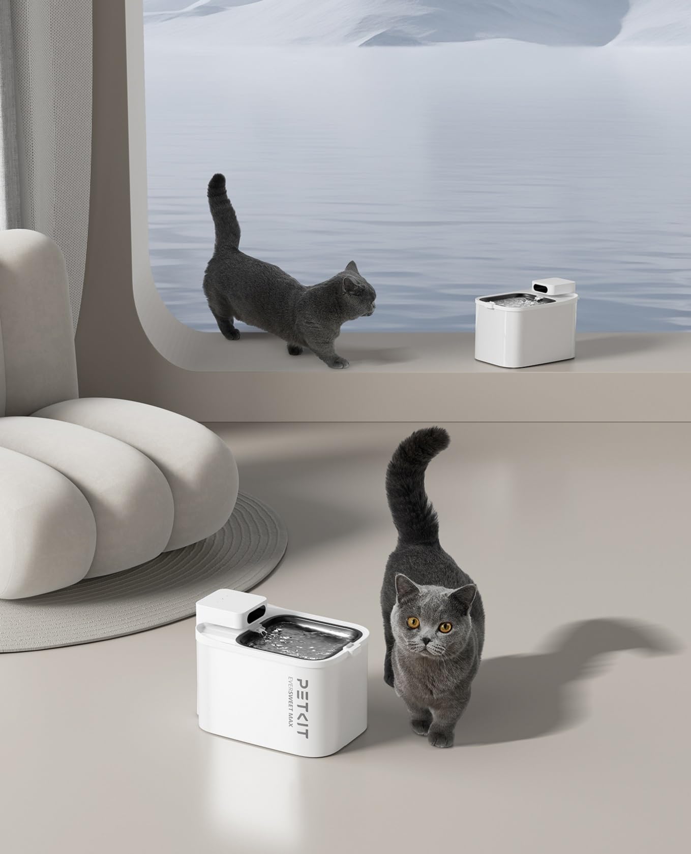 NIXOOT 10 filtri per PETKIT EVERSWEET MAX Pet Water Fountain, il carbone attivo ad alta densità può filtrare odori e imperfezioni dei capelli nell'acqua (10 filtri 10 spugne NIXOOT 10 filtri per PETKIT EVERSWEET MAX Pet Water Fountain, il carbone attivo ad alta densità può filtrare odori e imperfezioni dei capelli nell'acqua (10 filtri 10 spugne
