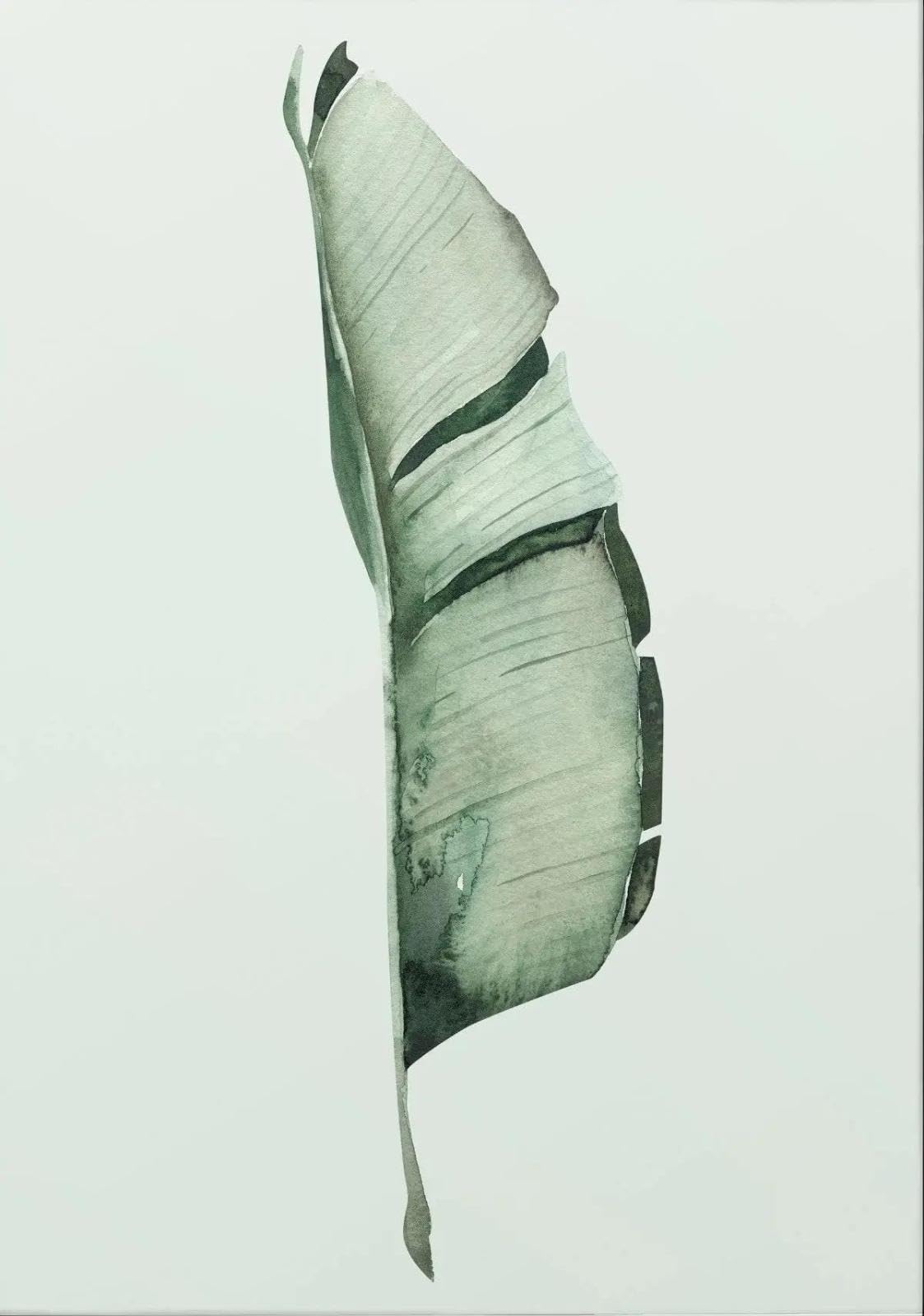 Baibexing Minimalist Tropical Leaf Digital Nature Canvas Painting Posters Prints Wall Art For Living Room Home Decor A7 30X40Cm Unframed
