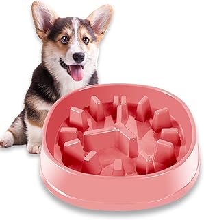 spaniel bowls amazon