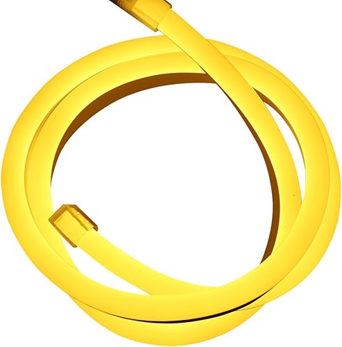 Xunata Tira de luces LED de neón de 6.6 pies, tubo amarillo impermeable, 12 V, 240 LED, SMD 2835, tira de luces de neón LED flexibles para jardín,