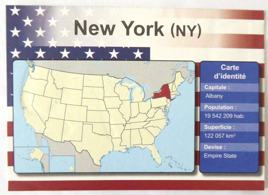 OPO 10 - Set di 4 targhe in Metallo per Auto USA - repliche di Vere targhe USA New York City NYC