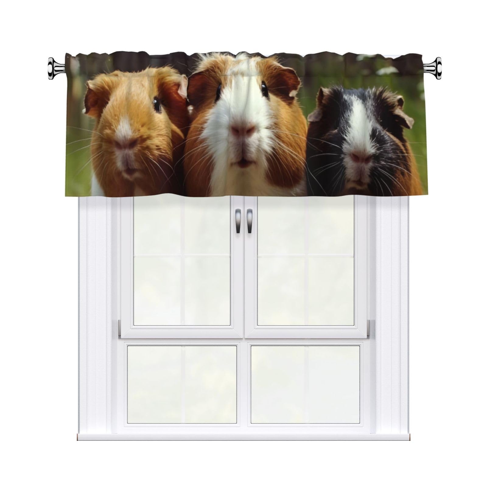 HJKJKKJ Window Valance 137x 46 CM Kitchen Curtains Guinea Pigs Funny Valances for Windows Vintage Short Window Curtains Farmhouse Rod Pocket Decorative Curtain Valance for Bedroom Bathroom