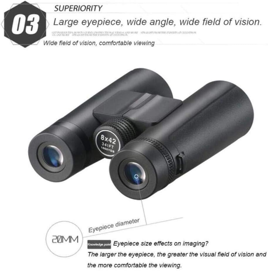 31寿山高山石 龍 清工 唐物 印石 印材 書道 落款 雅号 箱. C