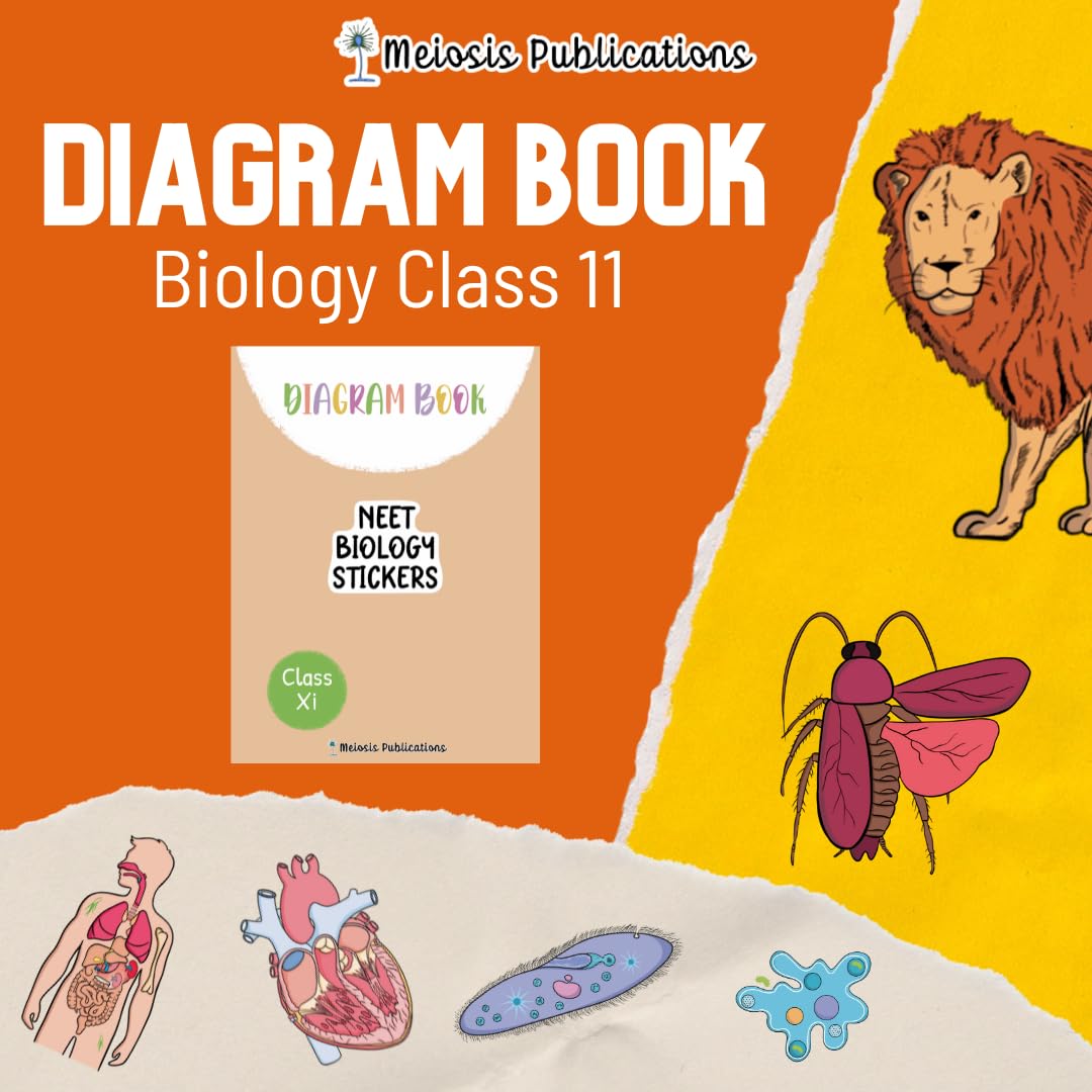 Buy NEET UG Diagram Book For Complete Biology Class 11 | Meiosis ...