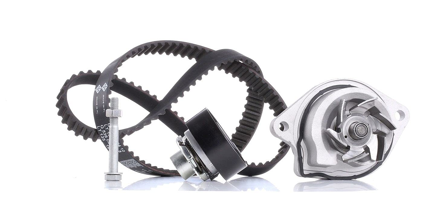530 0166 31 INA Water Pump & Timing Belt Set for SEAT,VW