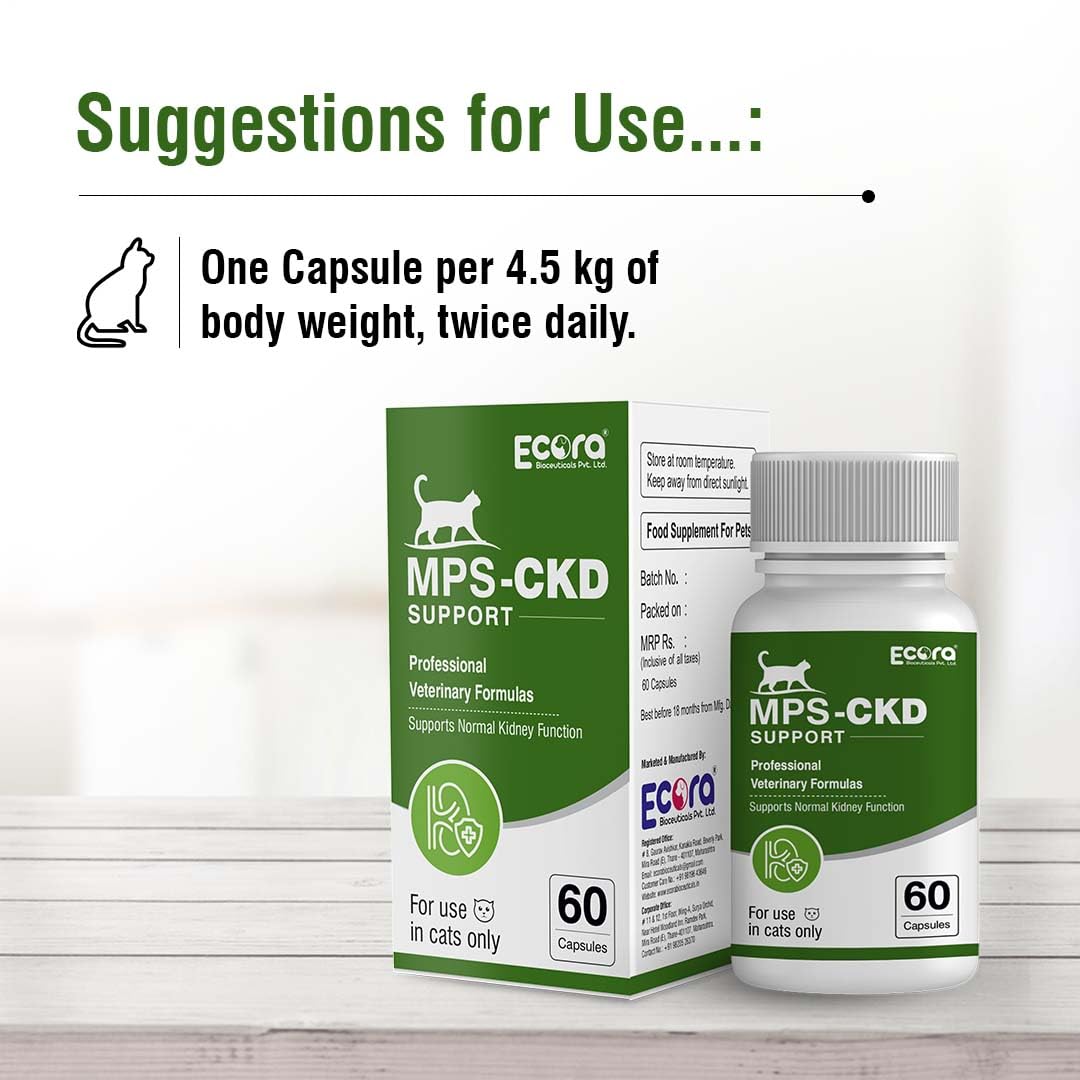 MPS-CKD Support for Cats – Kidney Health Supplement – 60 Capsules – Advanced Renal Care Formula with Natural Ingredients 3