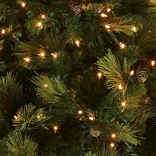Carolina Pine 7.5ft Prelit Christmas Tree for The National Tree Company