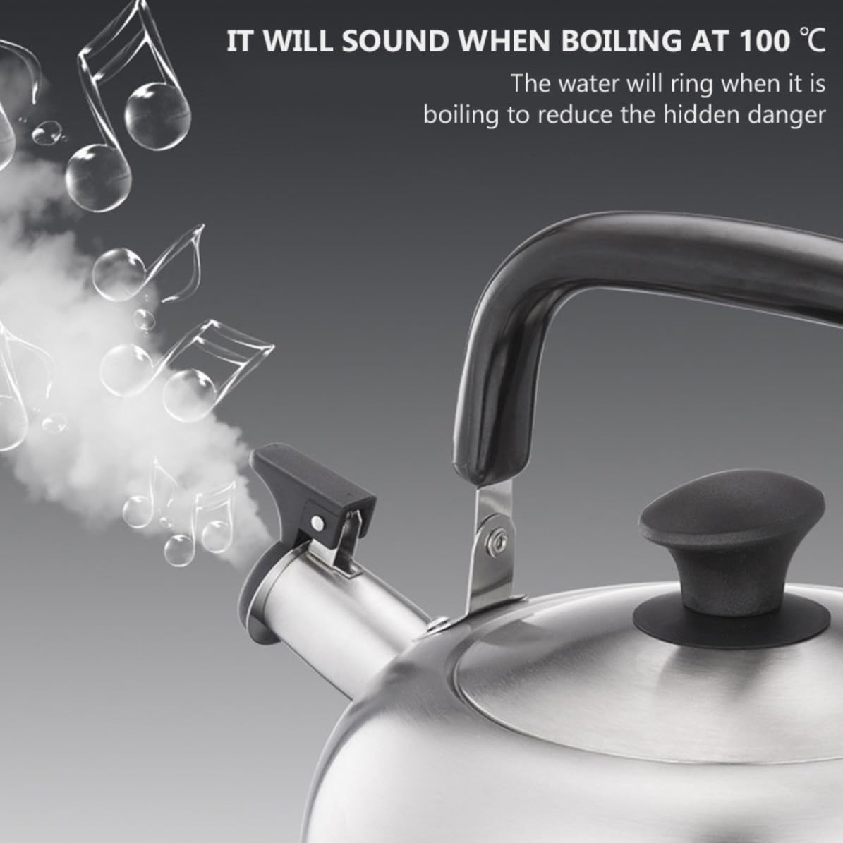 Bollitore Inox 4,5 l Fischio, Acciaio Inossidabile, Bocca Ampia