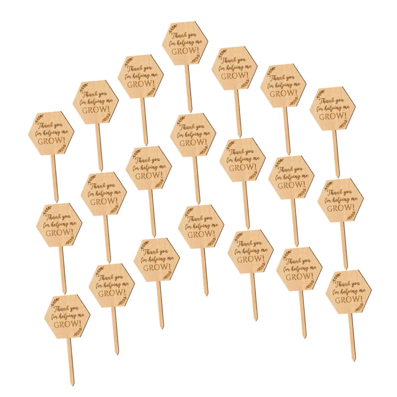 UPKOCH 4 Set Etichetta in Legno Etichette Succulente Segni Di Piante Da Giardino Etichette Da Giardino Giardinaggio Tag Del Del Vaso Etichetta Dell'orto Di Legno 40 Pezzi*4
