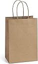 BagDream Gift Bags 100Pcs 5.25x3x8 Small Kraft Paper Gift Bags with Handles Bulk, Brown Paper Sacks for Small Business, Retail, Merchandise, Wedding Birthday Party Favor