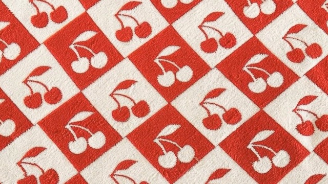 Amazon.com: Ultra Soft Cozy Fluffy Microfiber Checkered Knitted