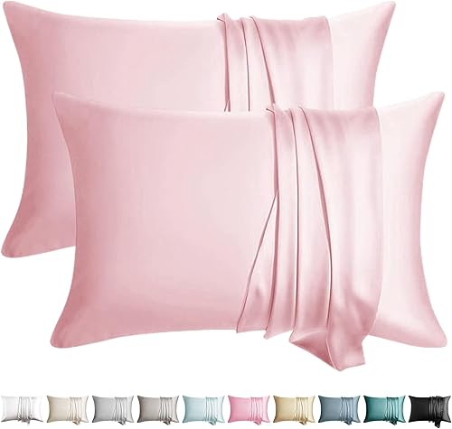 Juego de 2 fundas de almohada de seda, tamaño Queen, 100% seda de morera para cabello y piel, seda 6A de grado más alto con cremallera oculta, 20 x