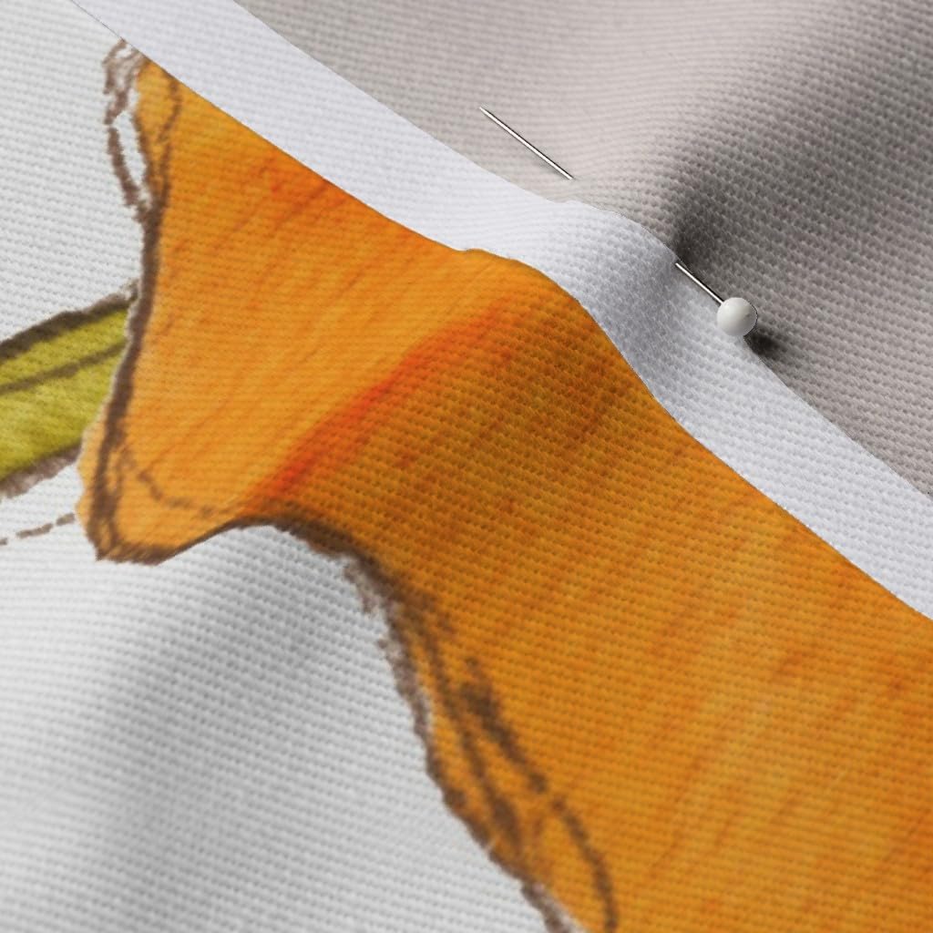 Spoonflower Fabric - California Poppy Watercolor Floral Orange Poppies Large Scale Printed on Denim Fabric by The Yard - Bottomweight Apparel Home Decor Upholstery