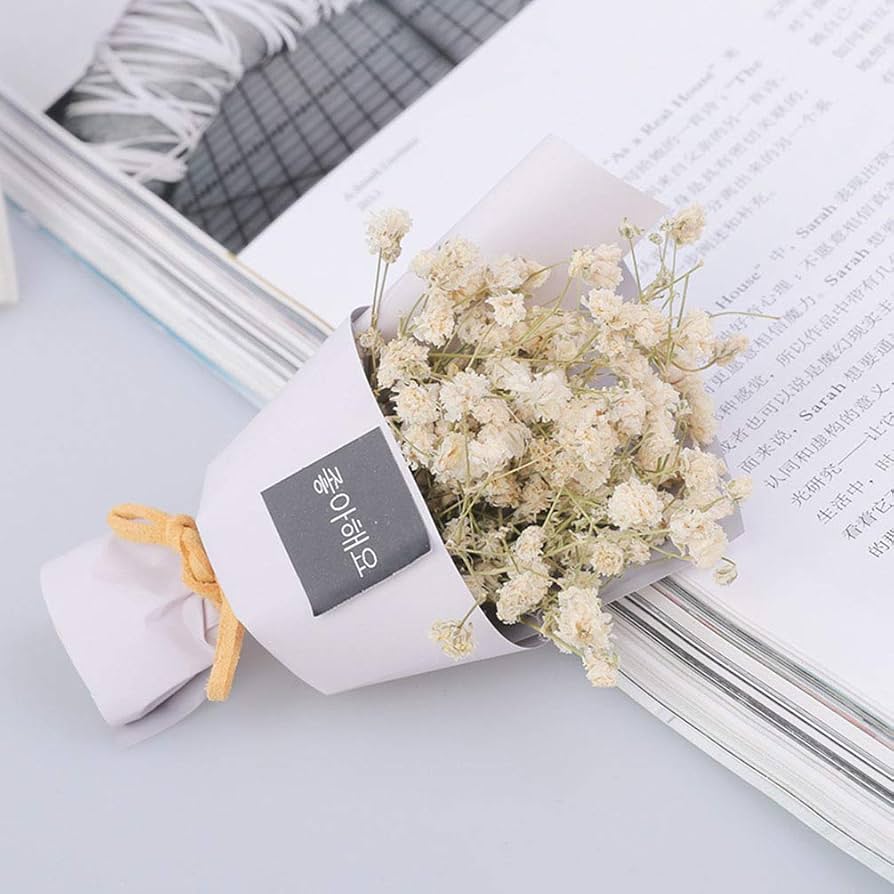 MLSG 200g Natural Dried Gypsophila Flower Bouquet Baby's