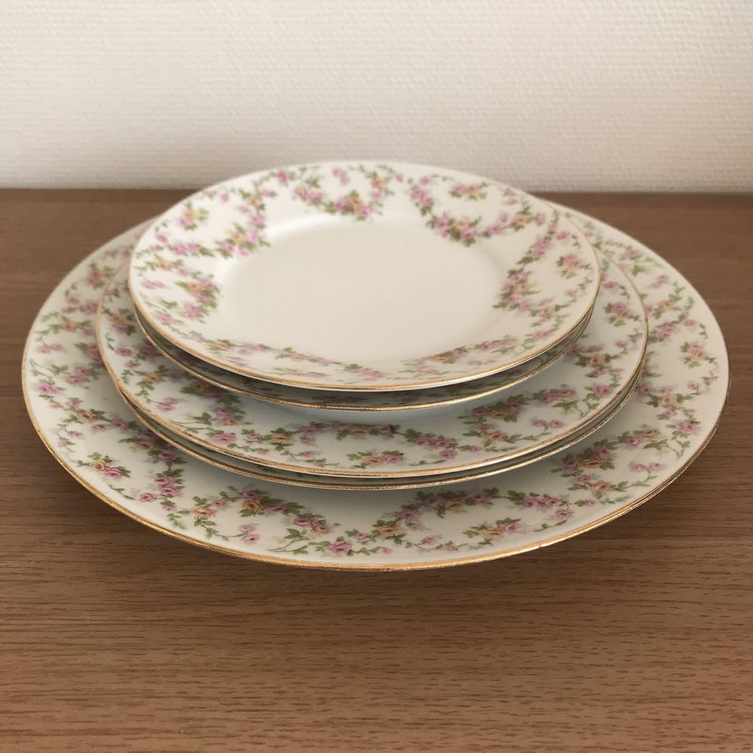 Amazon.co.jp: Limoges リモージュ フランス プレート 5枚 セット 