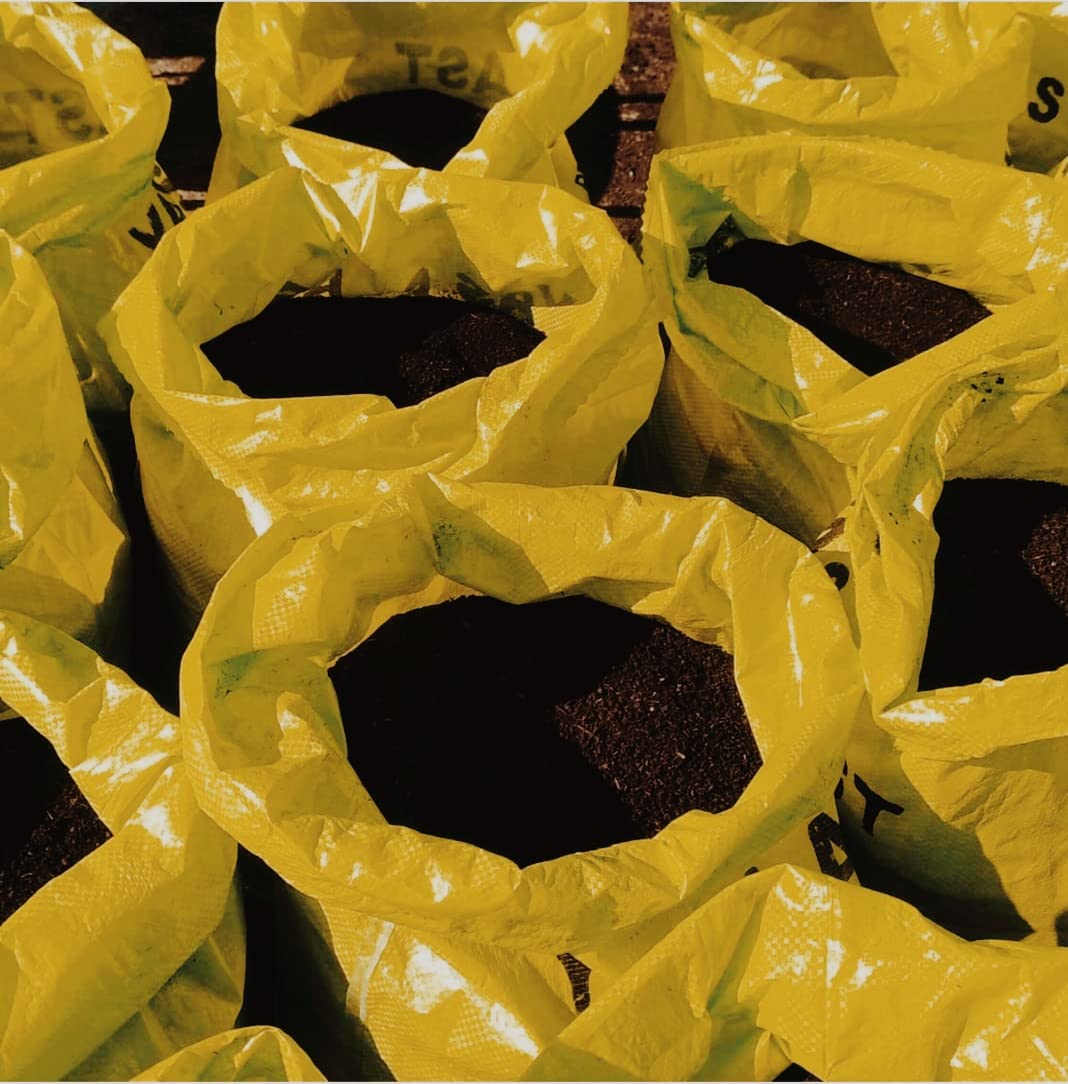 KARIOX Organic Cow Dung Manure and Compost, for Plants (10) (B093HLL648) Amazon Price History, Amazon Price Tracker