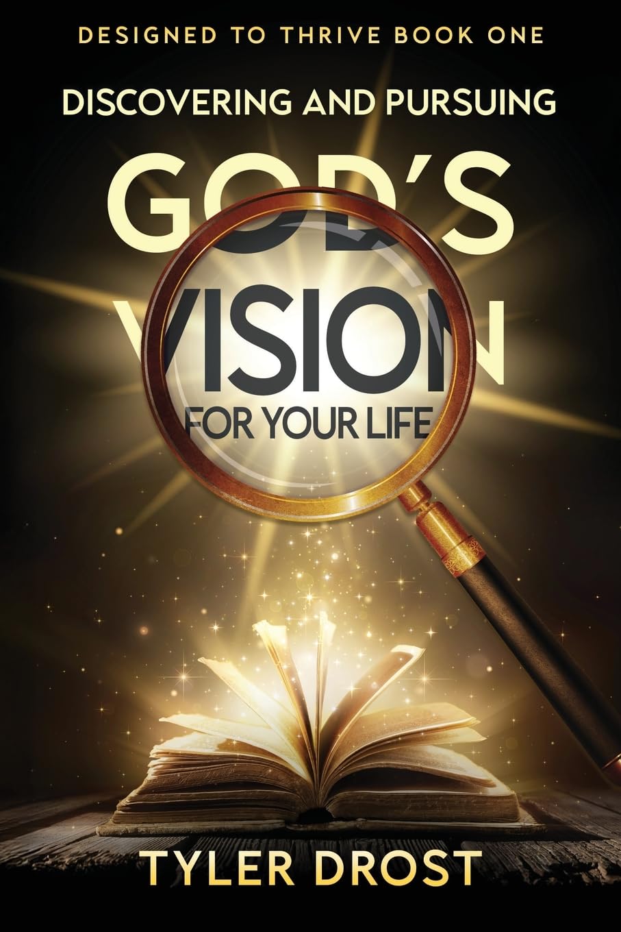 Discovering and Pursuing God's Vision for Your Life: 1 (Designed to Thrive)