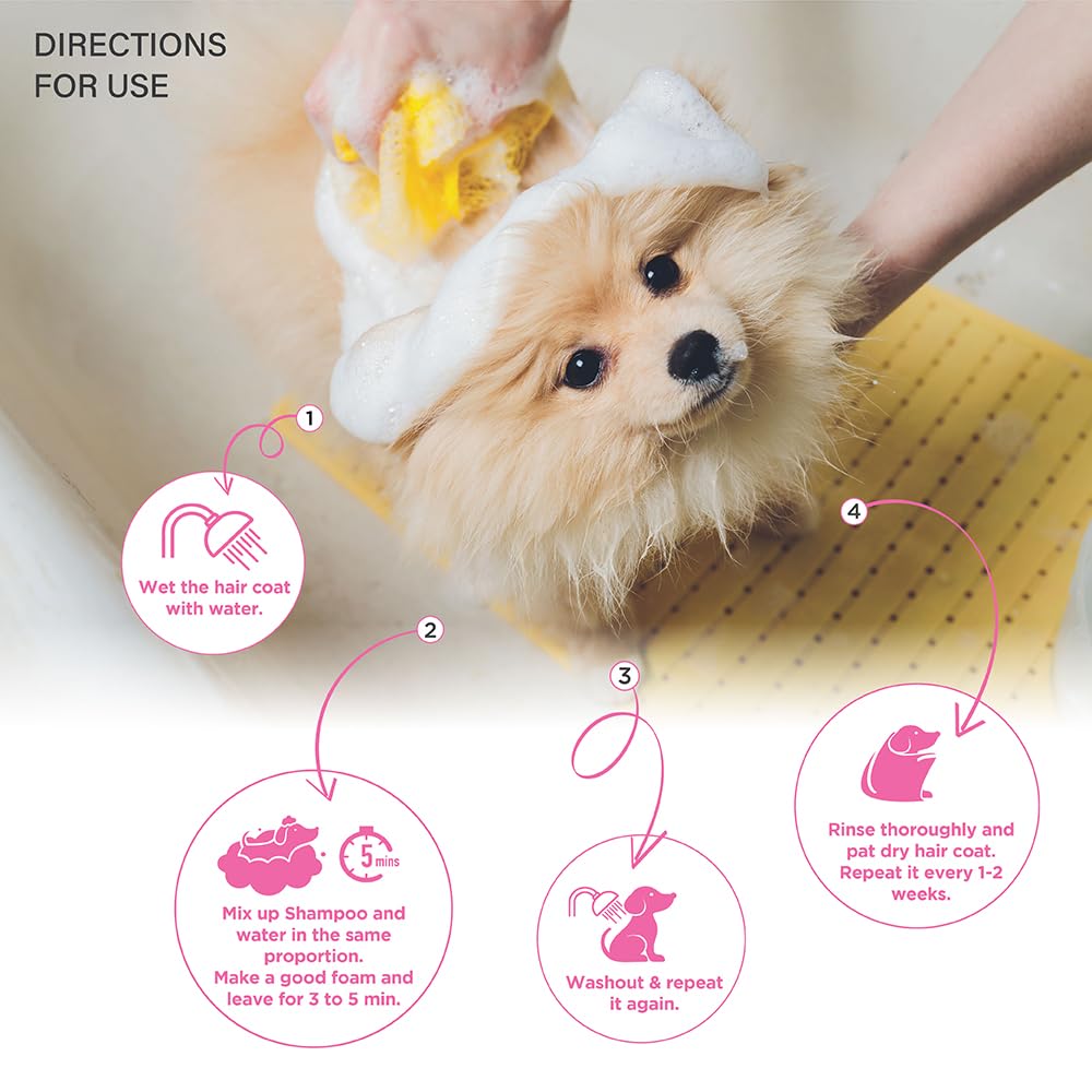 Lozalo Floral Aromatherapy Pet Conditioning Shampoo - 500 ml, Pack of 2x250 ml, Lily Fragrance, Coat Cleansing, Odour Control Shampoo for Dogs & Cats, with Aloe Vera Extract and Saffron Oil 2