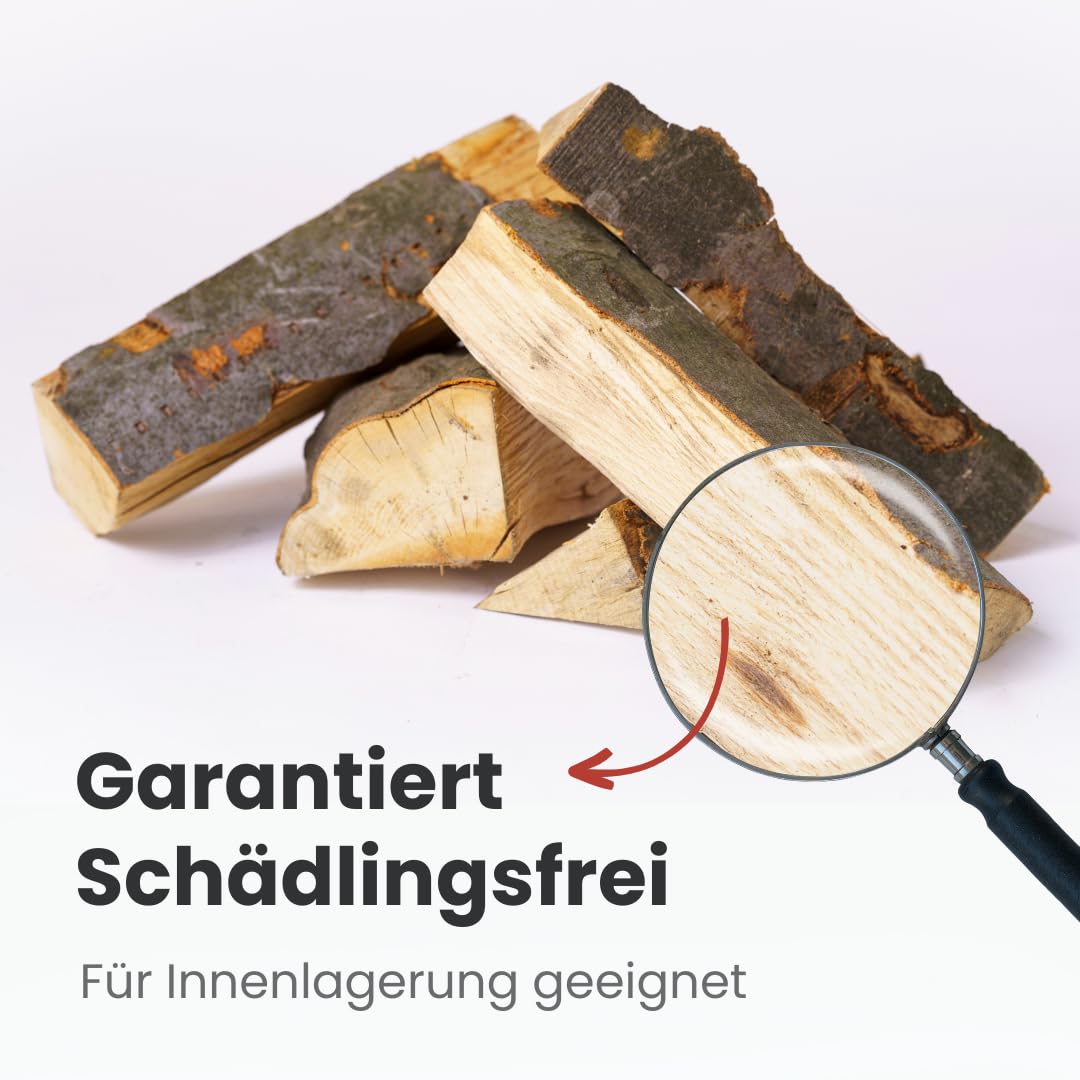 Brennholz Buche Palette 1RM 25 cm - kammergetrocknet, sauber & schädlingsfrei - Feuerholz 20% Restfeuchte für Kamin, Grill, Ofen, Feuerschale - Buchenholz Raummeter mit Lieferung