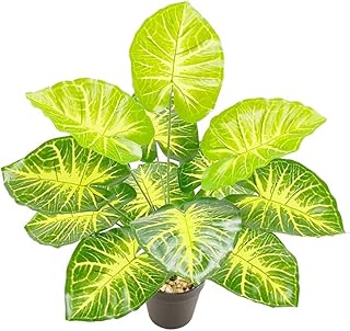 Artificial Artificial Caladium Plant Red Green
