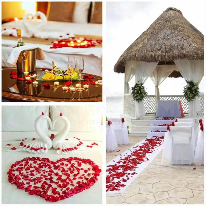 Pétalos de rosa artificiales para sorpresas románticas y aniversarios pack 300 6