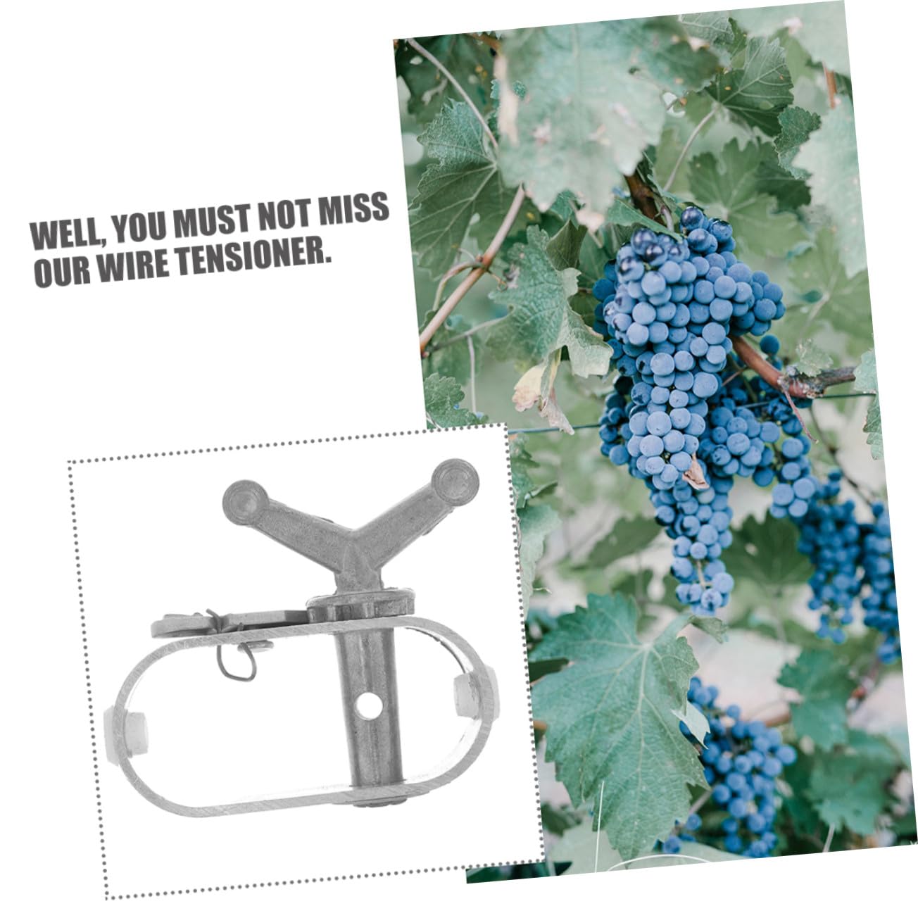 Tenditore per Cavi in Acciaio A3 8 Pezzi Argento per Vigneti | Strutture per Coltivazioni e Alberi da Frutto, Montaggio Semplice, Design Versatile, Resistenza alla Ruggine